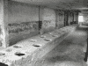 Birckenau: Interior das latrinas do sector B1