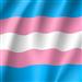 SANTA SÉ: Transexuais pretendem aniquilar o conceito de natureza