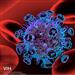 SAÚDE: Vacinas Covid-19 igualmente eficazes em pessoas portadoras de VIH
